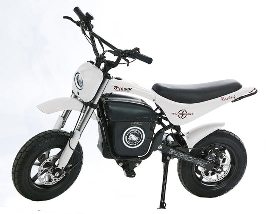 TT1600R MINI BIKE